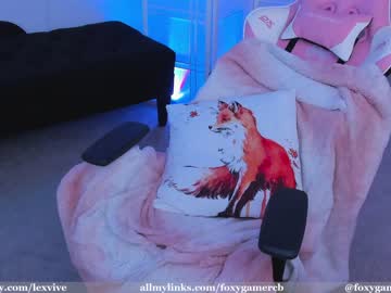 girl foxy_gamer image #2538898