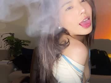 girl burmilla1 image #2584078