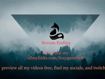 girl foxy_gamer image #2660951
