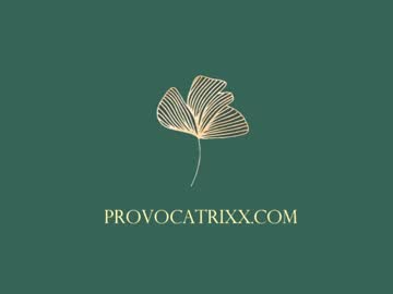 girl provocatrixx image #2522243