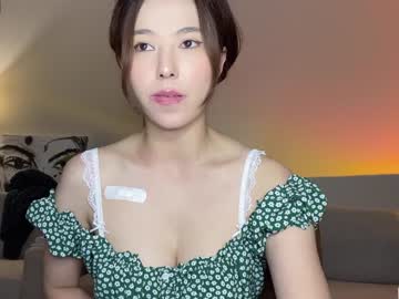 girl burmilla1 image #2627592