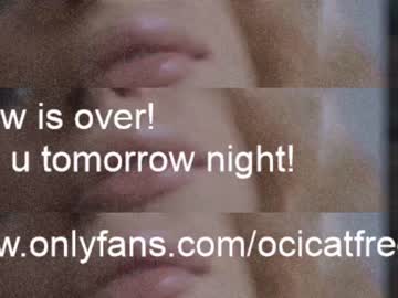 girl ocicat image #3554747