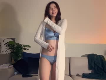 girl burmilla1 image #2583887