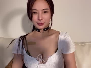 girl burmilla1 image #1952753