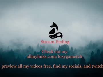 girl foxy_gamer image #3893623