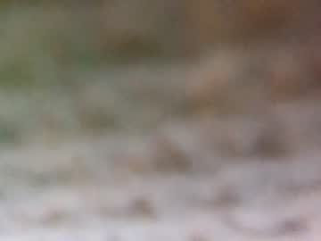 man theboyjacc image #852293