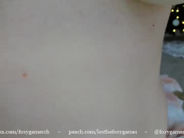 girl foxy_gamer image #852504