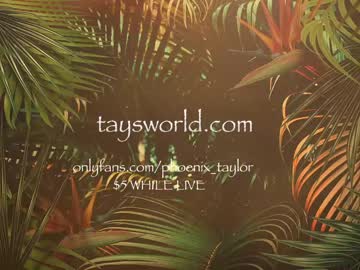 girl phoenix_taylor image #2974655