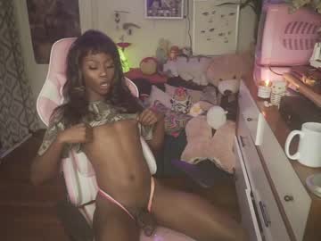 tranny vanniall image #1486487